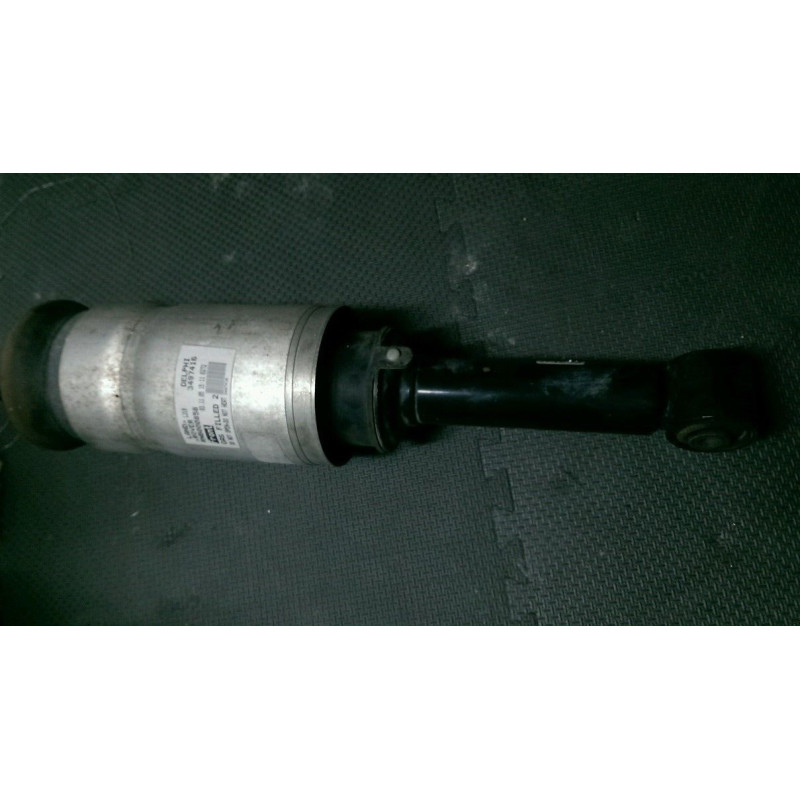 RNB000858 Land Rover Discovery Front Air Strut 2005-2009