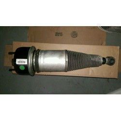 2W93-5A965-EK Jaguar XJ Rear Air Strut 2004-2009