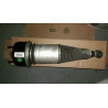 2W93-5A965-EK Jaguar XJ Rear Air Strut 2004-2009