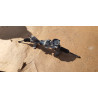 53600-TLB-A07 Honda CR-V Steering Gear Box 2017-2019 53600-TLB-A07-M1