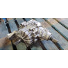 68292765AG Jeep Compass Rear Axle Differential 2017-2024 68292765AB