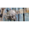 53010758AF Chrysler Pacifica Rear Axle Differential 2019-2025 53010758AH