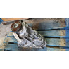 33100-4GA0A Infiniti Q50 Transfer Case 2014-2021 33100-4GA0B