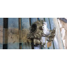 33100-3KA0B Infiniti JX35 Transfer Case 2013-2023