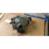K2GW-4000-EG Ford Edge Rear Differential Carrier 2019-2024