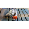 68307403AG Jeep Cherokee Transfer Case 2014-2018 68090605AB