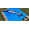 57700AR000 Genesis GV70 Steering Gear Box 2022-2025