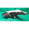 81145-47310 Toyota Prius V Right LED Halogen Headlight 2012-2014