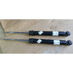 80A513035N Audi Q5 Rear Shock Struts 2017-2024