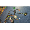 68092876AE Dodge Charger Body Wiring Harness 2012 68092873AE