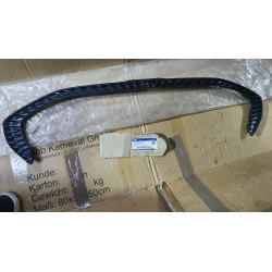 LJ8Z-8419-CA Ford Mustang Mach-E Front Bumper Lower Trim Panel 2021-2024