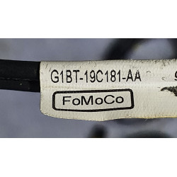 G1BT-19C181-AA Ford Fiesta Splitter Navigation FM Antenna Cable 2011-2019