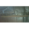 68065288AA Dodge Ram Front Door Molding 2002-2012