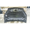 68330086AA Dodge Ram ProMaster City Hood 2015-2018
