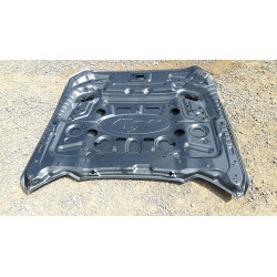 FR3Z-16612B Ford Mustang GT Hood 2015-2017