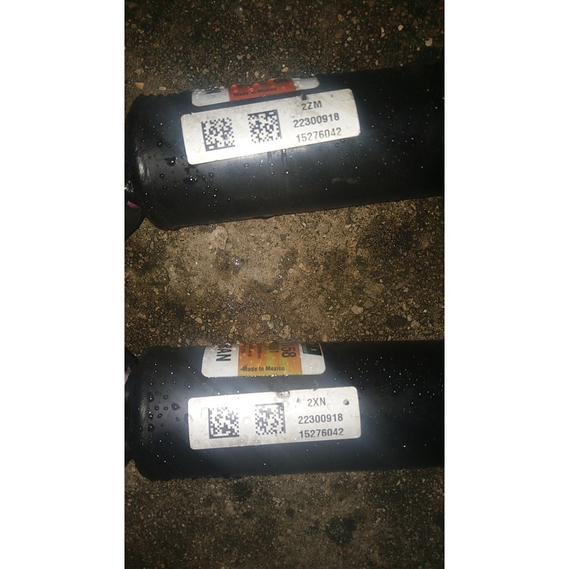 23312158 Cadillac Escalade Front Shock Strut 2015-2020 22300918