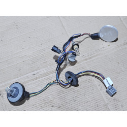 Ford Mustang Tail Lamp LED Light Bulbs and Wires 2010-2012