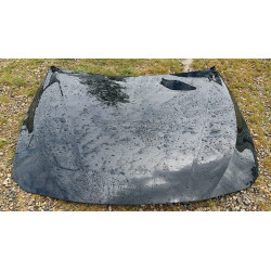 83222339920 BMW 3 Series Hood 2011-2017