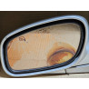 3W13-17683-CA Lincoln Town Car Left Power Heated Memory Dimmer Mirror