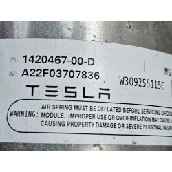 1420467-00-D Tesla Model S Right Rear Air Shock Strut Absorber 2021-2025