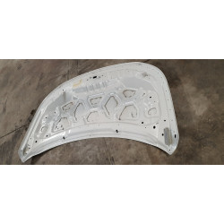 GW7E-9C485-A Ford Explorer Hood (aluminum) 2016-2019