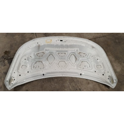 GW7E-9C485-A Ford Explorer Hood (aluminum) 2016-2019