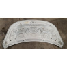 GW7E-9C485-A Ford Explorer Hood (aluminum) 2016-2019