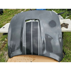 FR3Z-16612-C Ford Mustang Shelby GT350 Hood (aluminum) 2015-2020