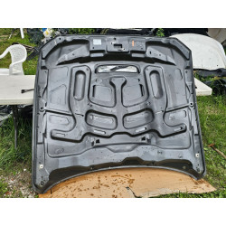 FR3Z-16612-C Ford Mustang Shelby GT350 Hood (aluminum) 2015-2020