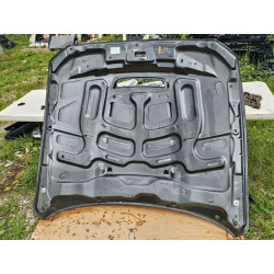 FR3Z-16612-C Ford Mustang Shelby GT350 Hood (aluminum) 2015-2020
