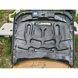 FR3Z-16612-C Ford Mustang Shelby GT350 Hood (aluminum) 2015-2020