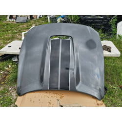 FR3Z-16612-C Ford Mustang Shelby GT350 Hood (aluminum) 2015-2020