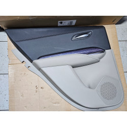 CADILLAC XT4 REAR LEFT DOOR PANEL 2019-2020 GM 84556889 62025198 62032781 84876216 84518273 84539452