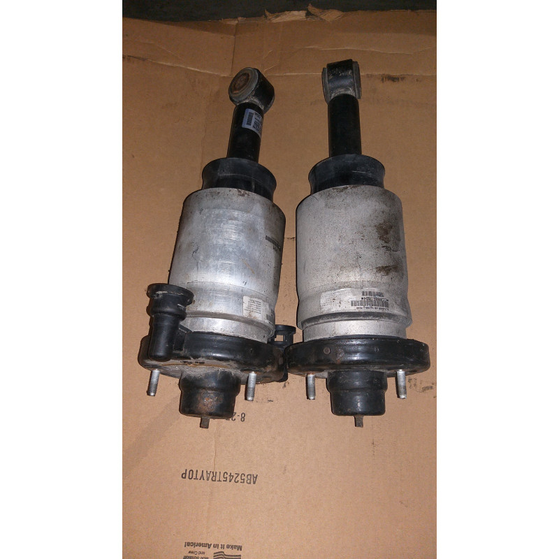 FORD EXPEDITION LINCOLN NAVIGATOR REAR AIR STRUT SHOCK 2011-2013 AL1418080 1A14765-A 8L14-5A891-AB 1A13885-A PRICE ONE
