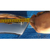 DODGE RAM 1500 QUAD CREW CAB Barricade 5 in Oval Bent STEP BARS Stainl. Steel 2009-2018 R102605-A R102606-A 193cm NEW