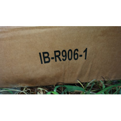 FORD F150 SuperCrew 6 in. RUNNING STEP BOARD Polished 2009-2014 IB06RAG7A T541756 IB-R906-1 IB-FR177 213cm NEW