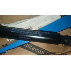 DODGE CARAVAN CHRYSLER TOWN COUNTRY LIFTGATE PROP LIFT CYLINDER SUPPORT ARM STRUT SHOCK 08-2018 68089034AB 04589654AF NEW