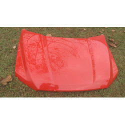 FORD F150 HOOD RED 2015-2020 ALUMINIUM FW7E-9C485-Z FL3A-19A688-AB