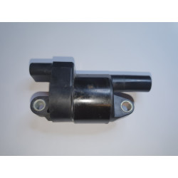 12573190 Cadillac Coil Pack