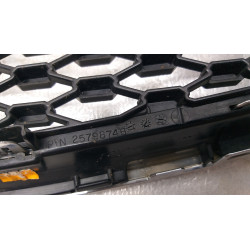 CHEVROLET EQUINOX LOWER CHROME GRILLE 2010-2013 GM 25798748