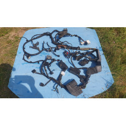 FORD FUSION MONDEO 2.5L ENGINE WIRING WIRES 2013-2016 DG9T-12A581-XH