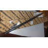 DODGE CARAVAN TOWN COUNTRY FRONT RIGHT FRONT DOOR WINDOW BELT WEATHER STRIP 2011-2020 05109810AE NEW