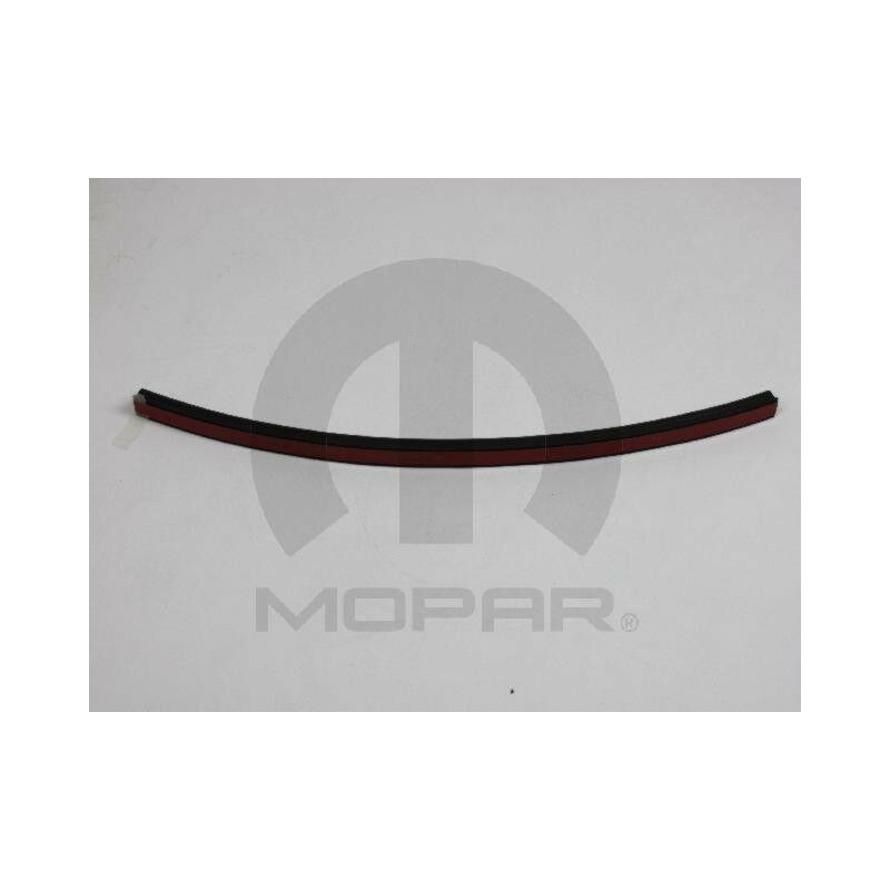 DOGGE DURANGO CHRYSLER ASPEN Rear Door Seal 2004-2007 55364627AA NEW