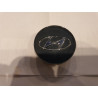 HYUNDAI Tucson Sonata Azera Tiburon Elantra WHEEL CENTER CAP 1996-2006 52960-38300