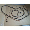 FORD EXPLORER FRONT BUMPER Wire Harness 2020 M1MT-15K867-BEC L1MT-18812-BAAC