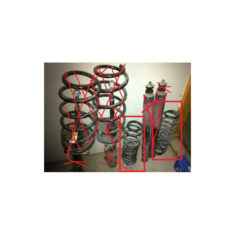 Ford Mustang Rear Spring 2005-2009