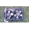 Mitsubishi Sigma Radiator with Cooling Fan 1997