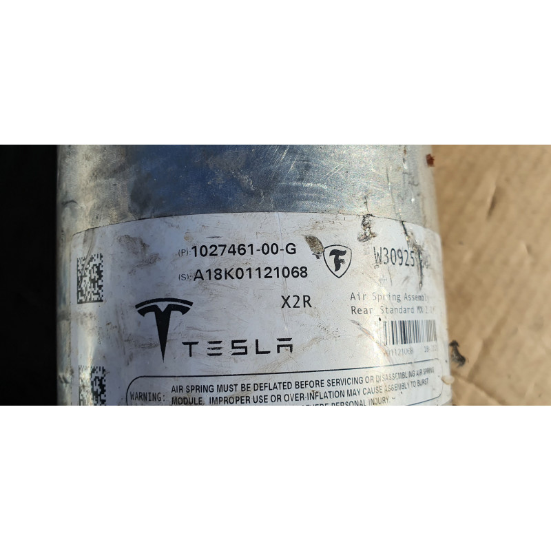 1027461-00-G Tesla Model X Rear Air Strut Spring Shock 2016-2021