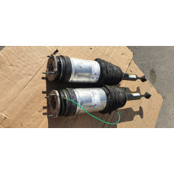 1027461-00-G Tesla Model X Rear Air Strut Spring Shock 2016-2021