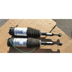 1027461-00-G Tesla Model X Rear Air Strut Spring Shock 2016-2021
